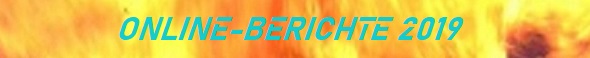 onlineberichte 2019